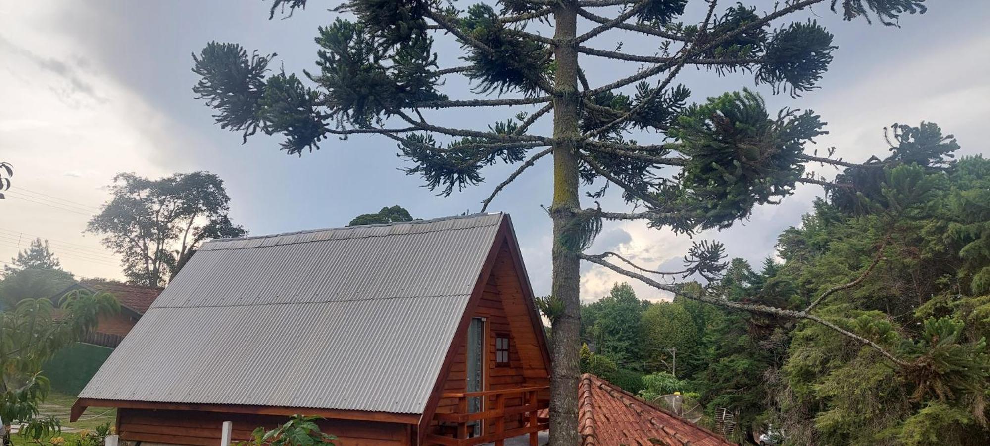 Chale Com Hidromassagem Da Vick Hotel Campos do Jordao Bagian luar foto
